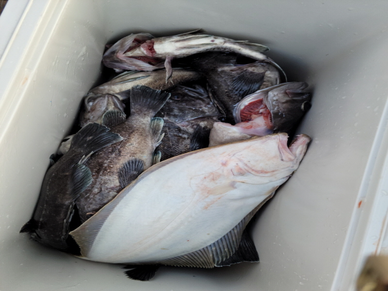 레인져호 조황갤러리입니다.