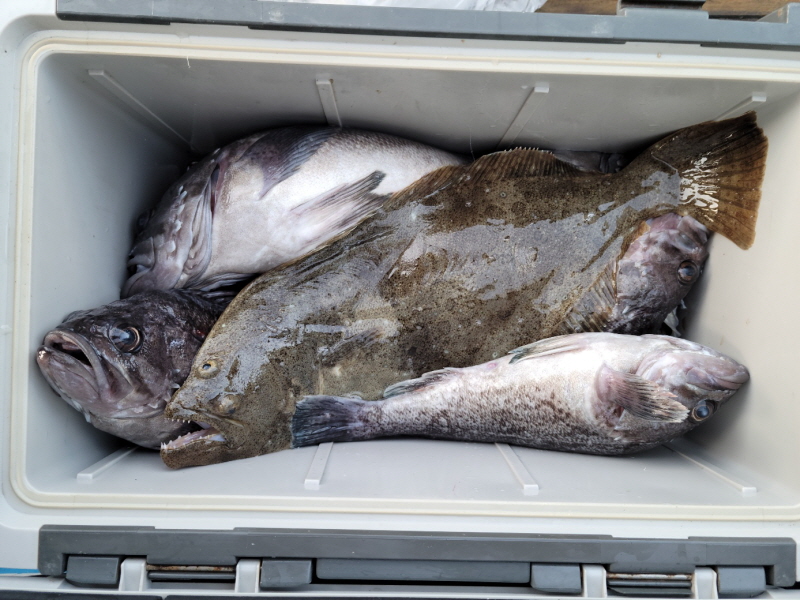 레인져호 조황갤러리입니다.