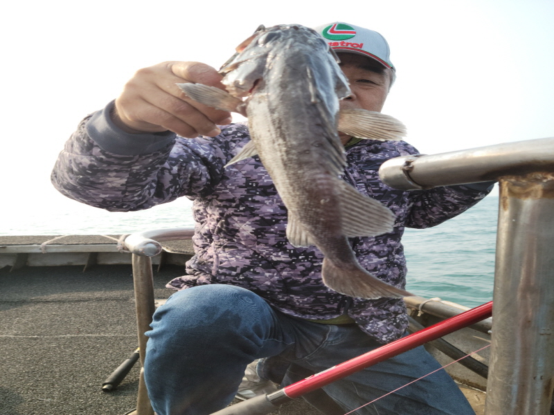 레인져호 조황갤러리입니다.