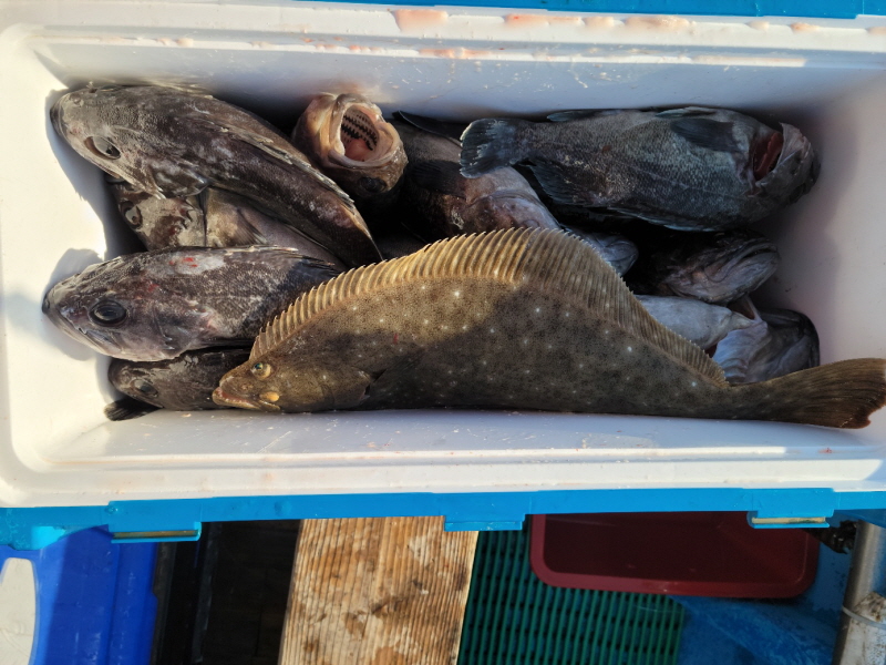 레인져호 조황갤러리입니다.