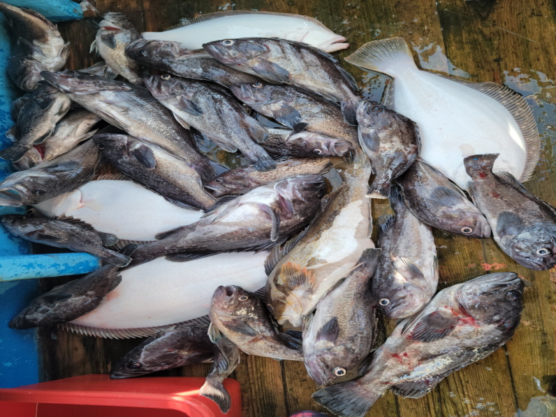 레인져호 조황갤러리입니다.