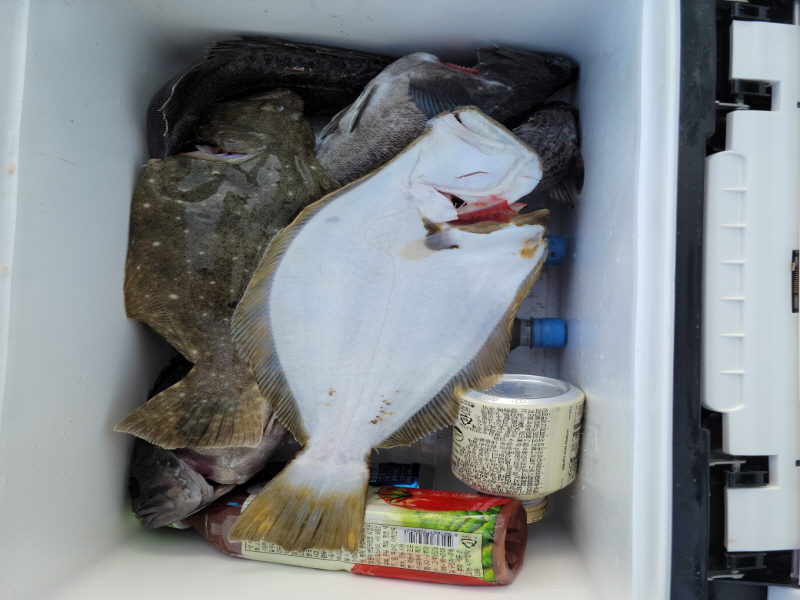 레인져호 조황갤러리입니다.