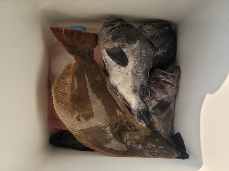 레인져호 조황갤러리입니다.