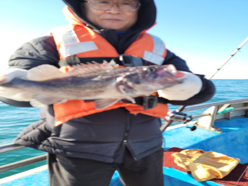 레인져호 조황갤러리입니다.