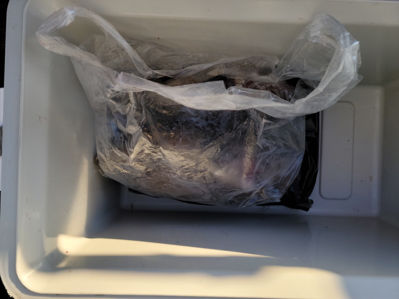 레인져호 조황갤러리입니다.