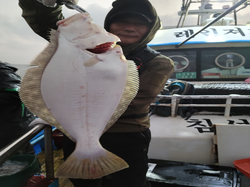 레인져호 조황갤러리입니다.