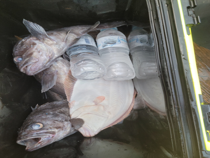 레인져호 조황갤러리입니다.