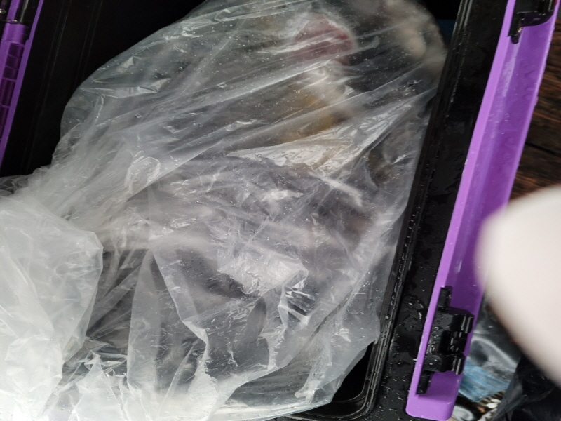 레인져호 조황갤러리입니다.