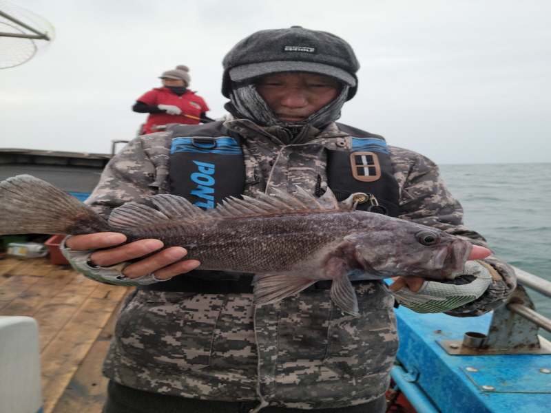 레인져호 조황갤러리입니다.