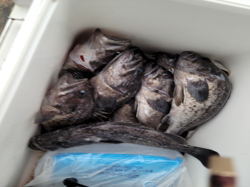 레인져호 조황갤러리입니다.