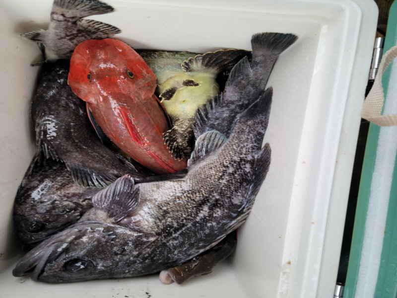 레인져호 조황갤러리입니다.