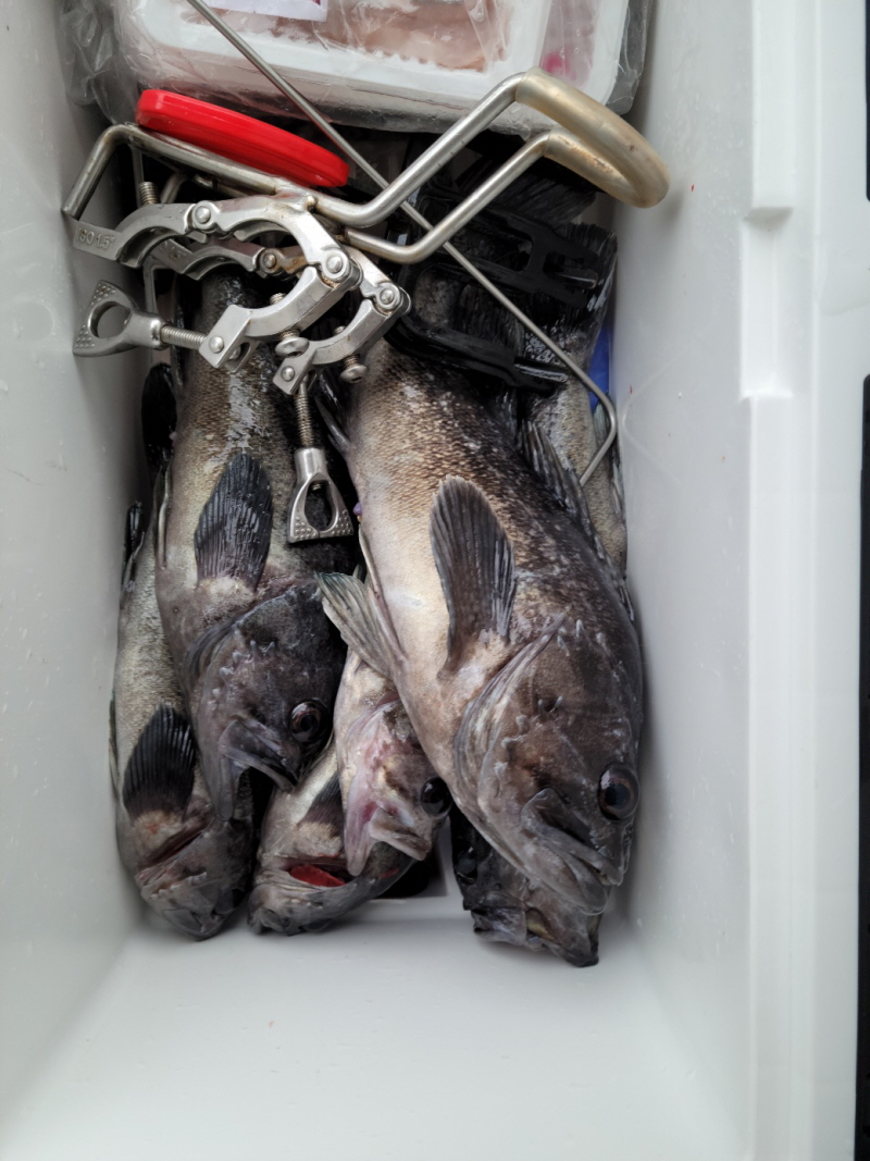 레인져호 조황갤러리입니다.