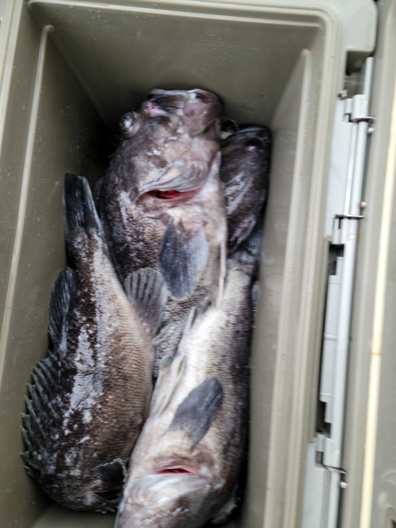 레인져호 조황갤러리입니다.