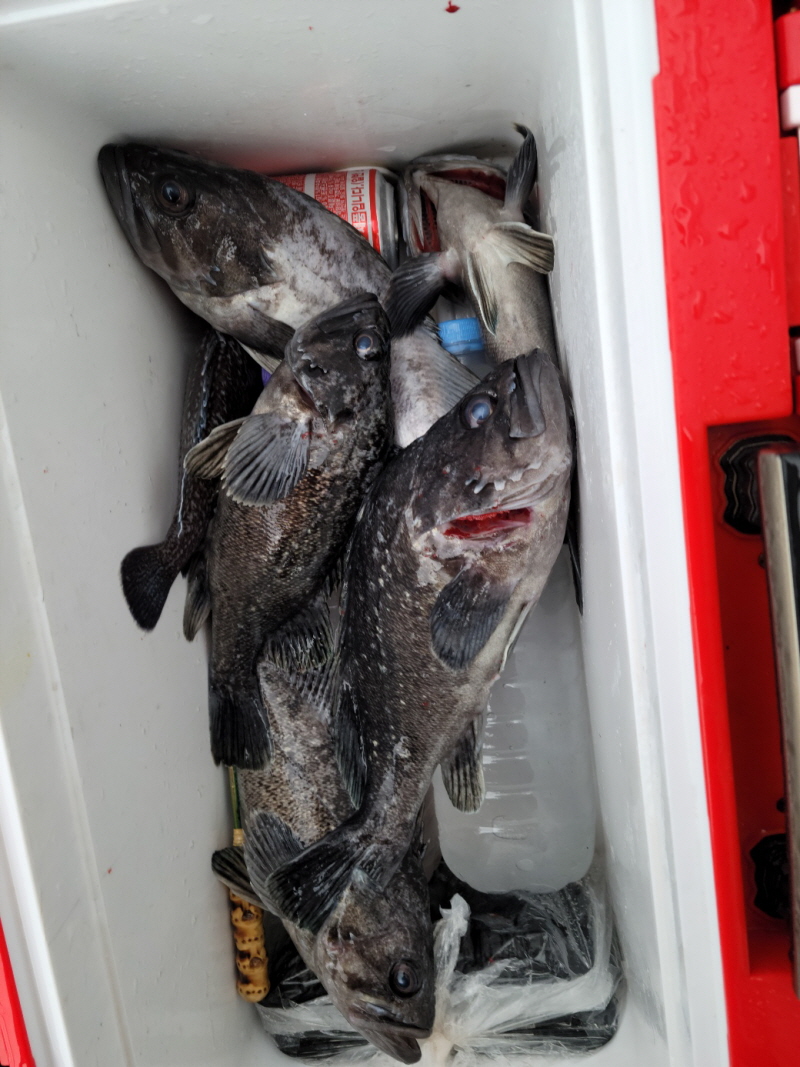 레인져호 조황갤러리입니다.