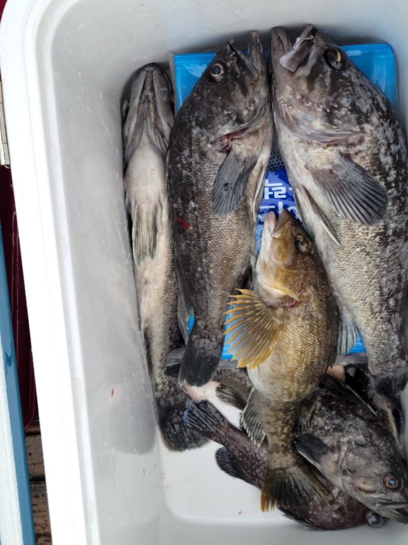 레인져호 조황갤러리입니다.