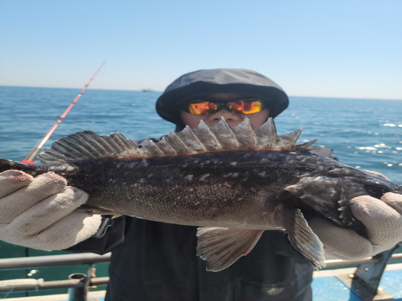 레인져호 조황갤러리입니다.