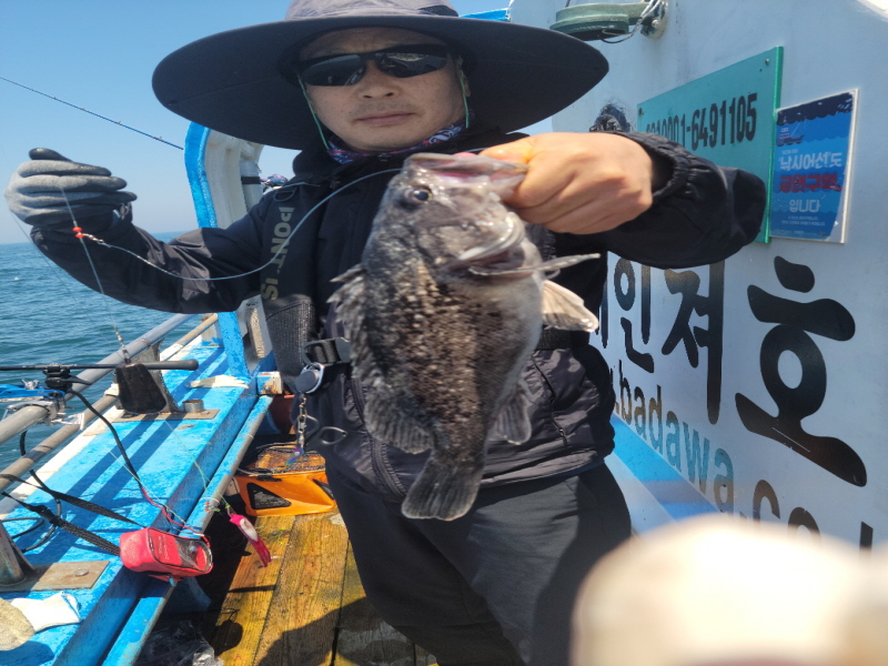 레인져호 조황갤러리입니다.