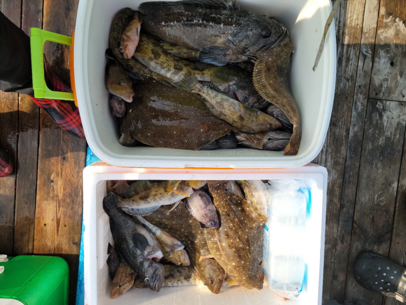 레인져호 조황갤러리입니다.