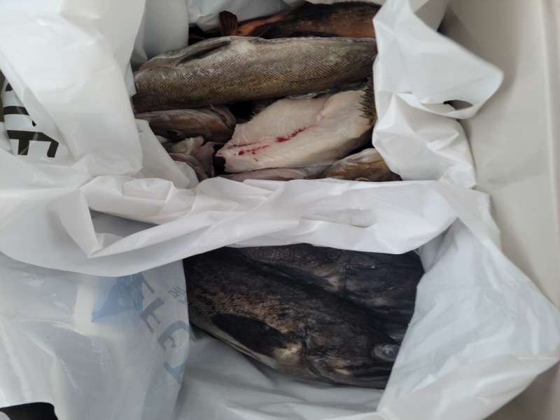 레인져호 조황갤러리입니다.