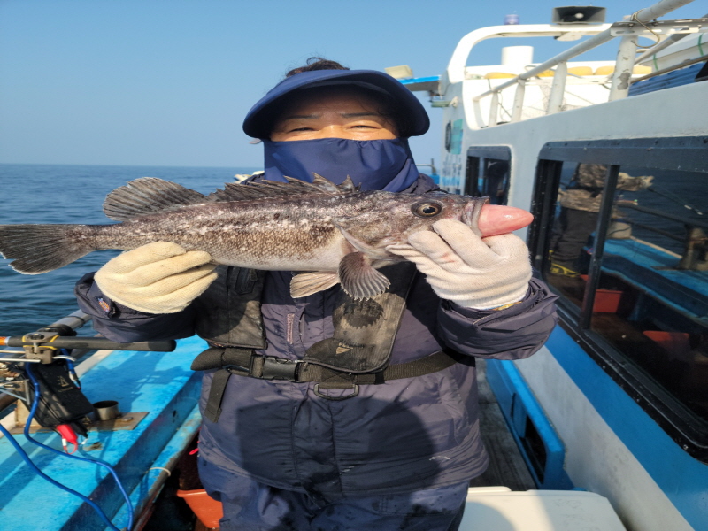 레인져호 조황갤러리입니다.