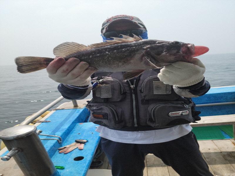 레인져호 조황갤러리입니다.