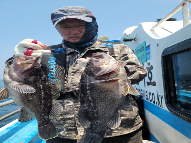레인져호 조황갤러리입니다.