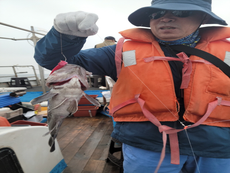 레인져호 조황갤러리입니다.