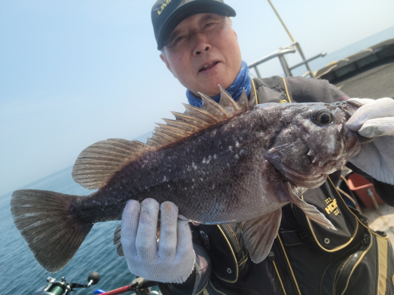 레인져호 조황갤러리입니다.