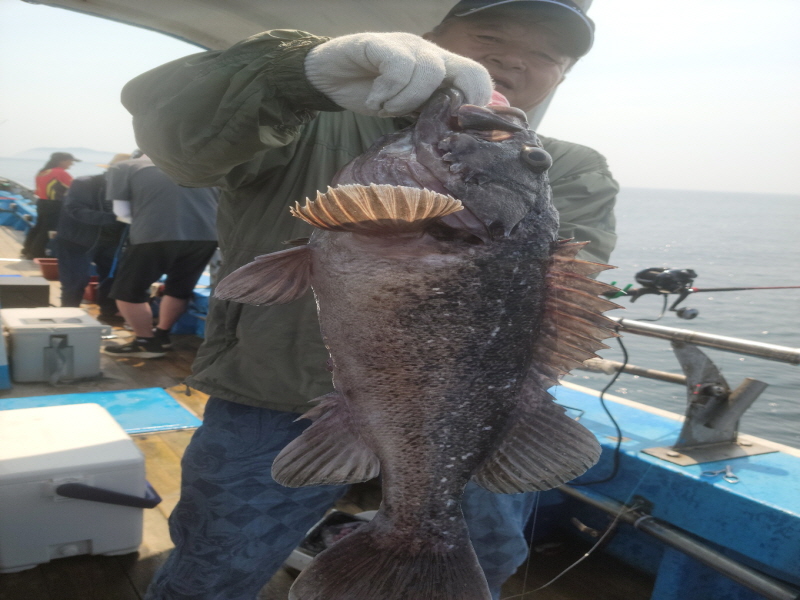 레인져호 조황갤러리입니다.