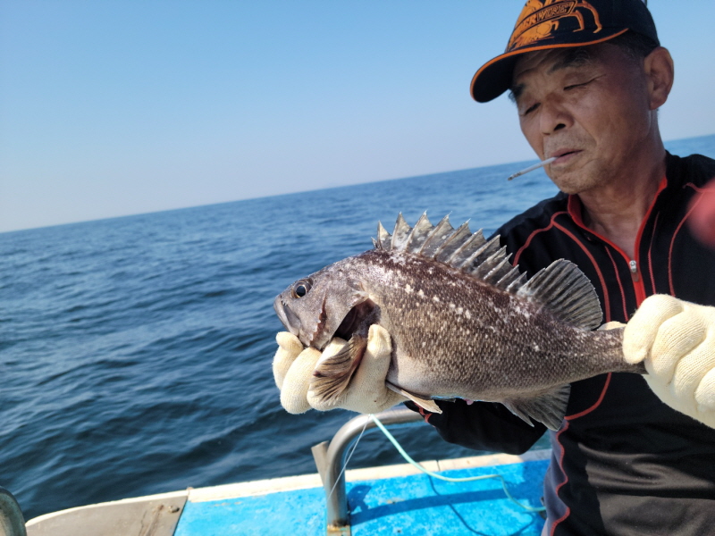레인져호 조황갤러리입니다.