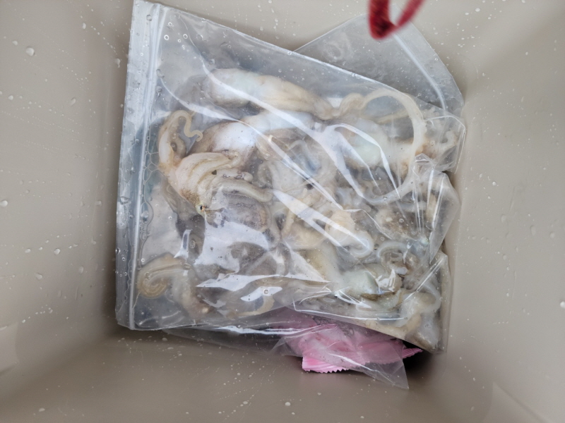 레인져호 조황갤러리입니다.