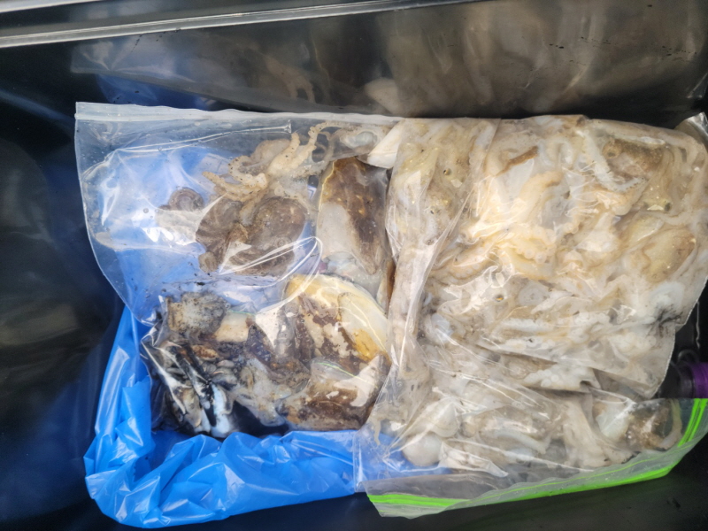 레인져호 조황갤러리입니다.