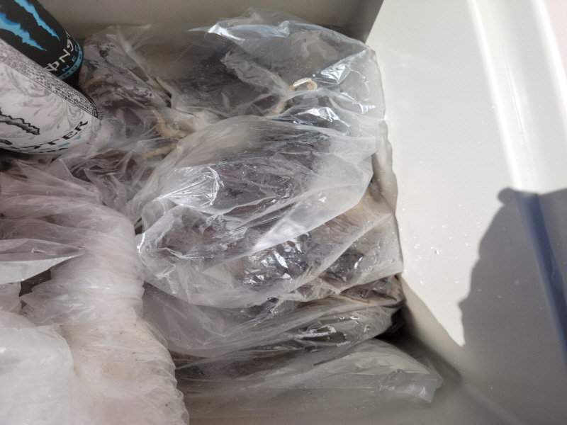 레인져호 조황갤러리입니다.