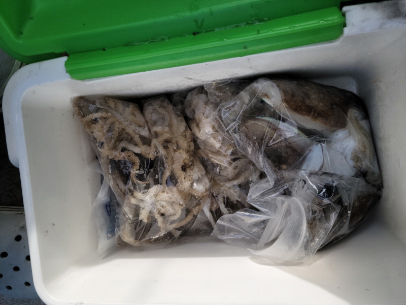 레인져호 조황갤러리입니다.