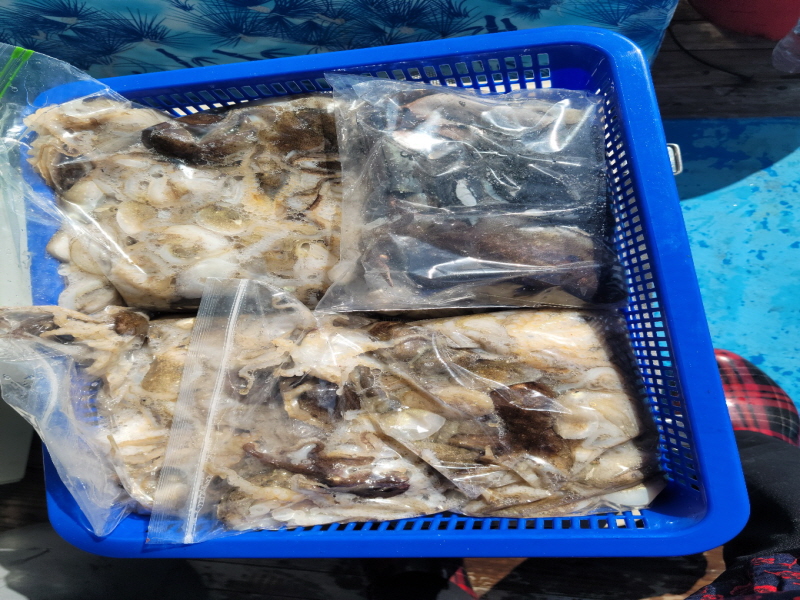 레인져호 조황갤러리입니다.
