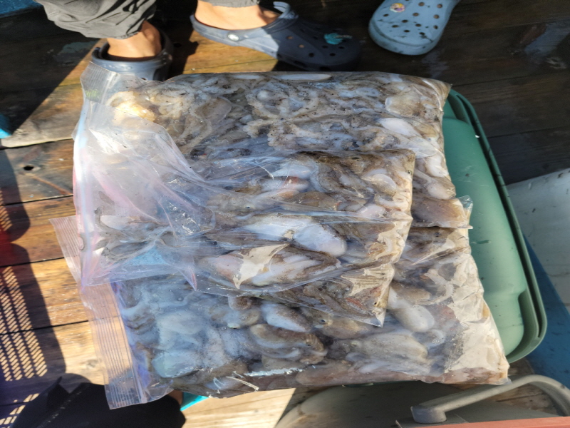 레인져호 조황갤러리입니다.