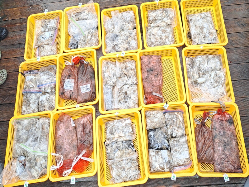 행운호 조황갤러리입니다.