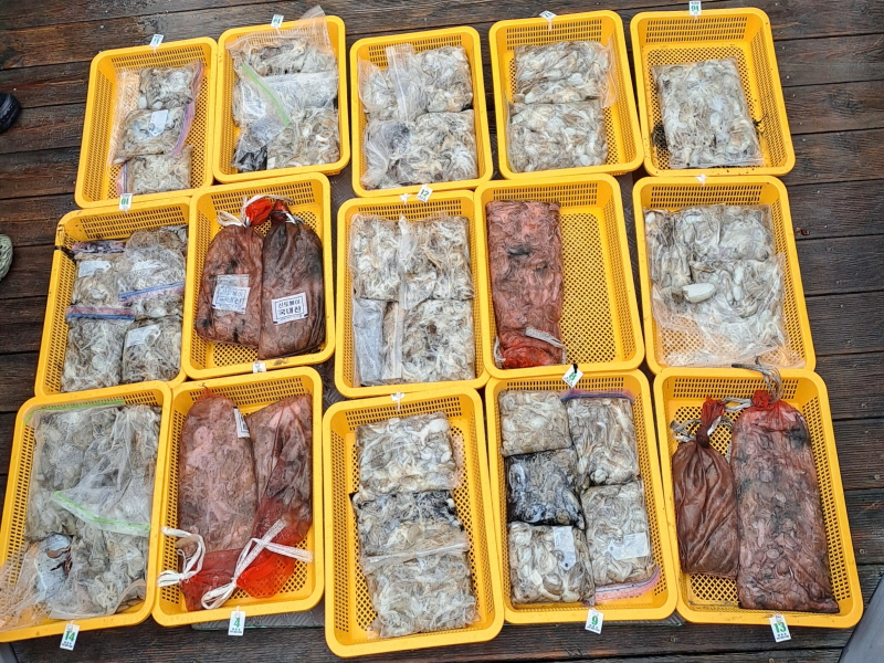 행운호 조황갤러리입니다.