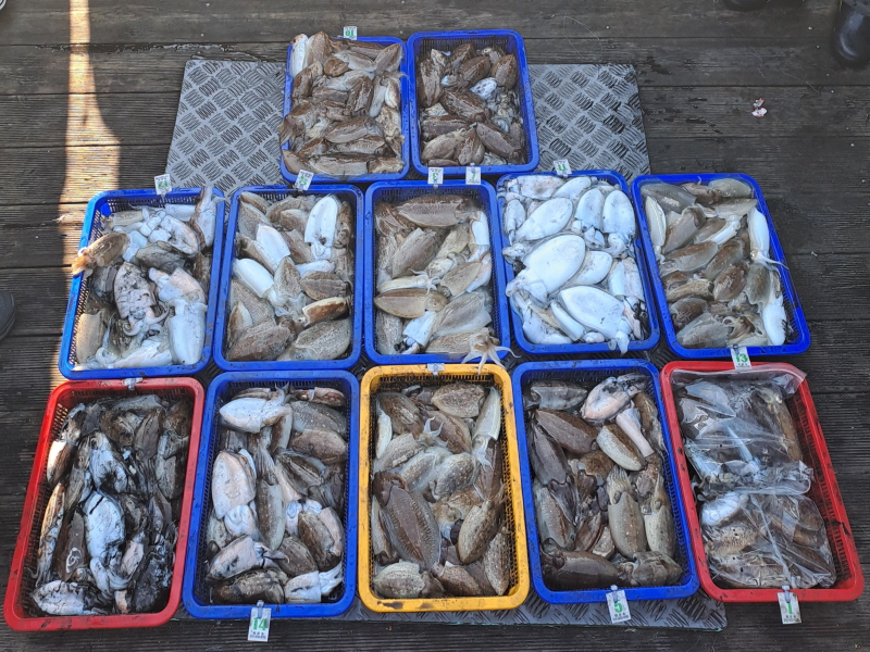 행운호 조황갤러리입니다.