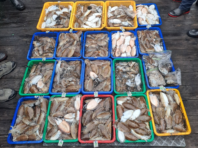 행운호 조황갤러리입니다.