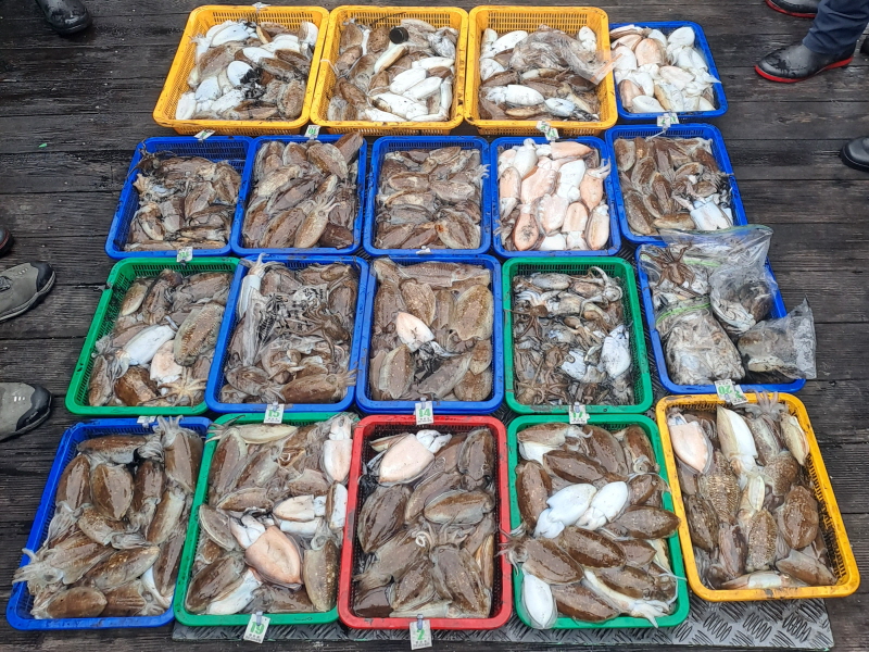 행운호 조황갤러리입니다.