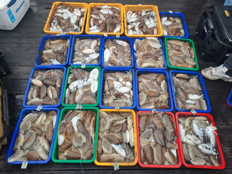 행운호 조황갤러리입니다.