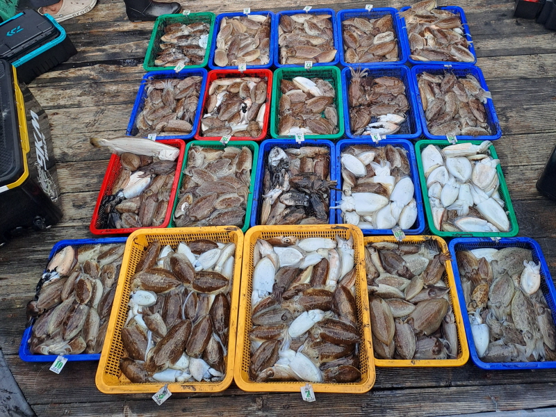 행운호 조황갤러리입니다.