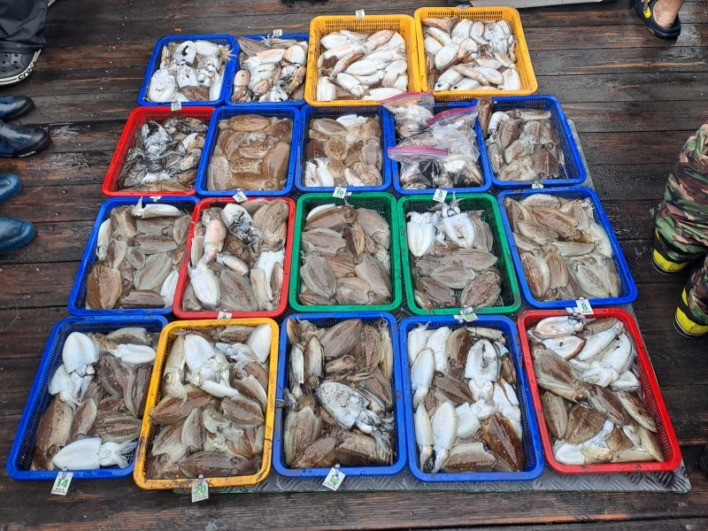 행운호 조황갤러리입니다.