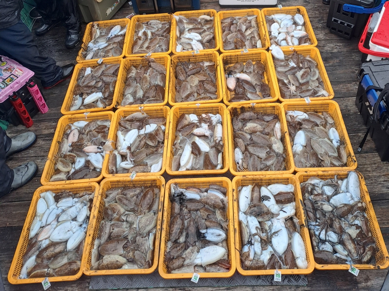 행운호 조황갤러리입니다.