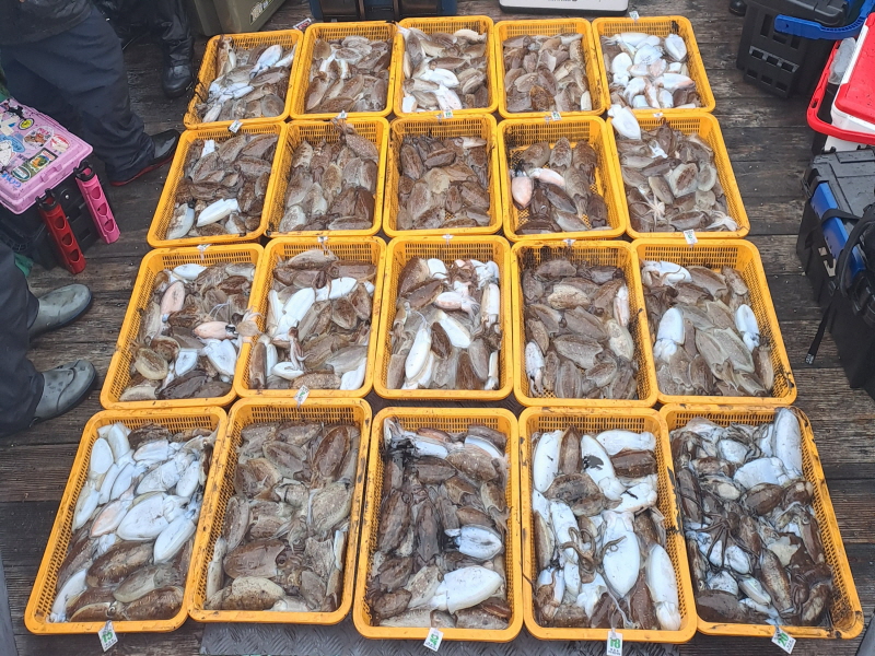 행운호 조황갤러리입니다.