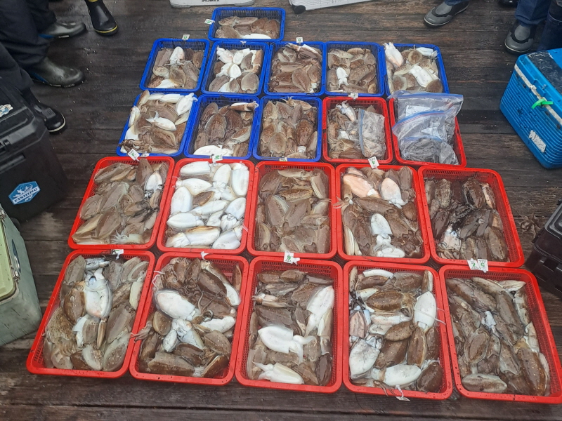 행운호 조황갤러리입니다.