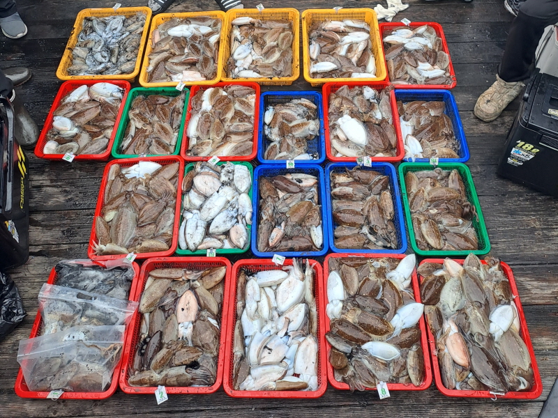 행운호 조황갤러리입니다.