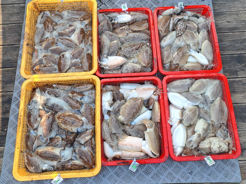 행운호 조황갤러리입니다.