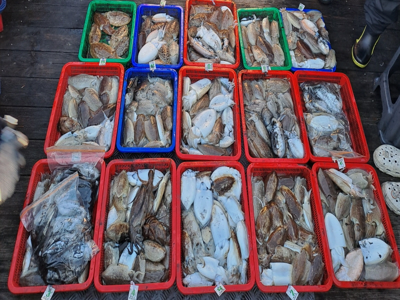 행운호 조황갤러리입니다.